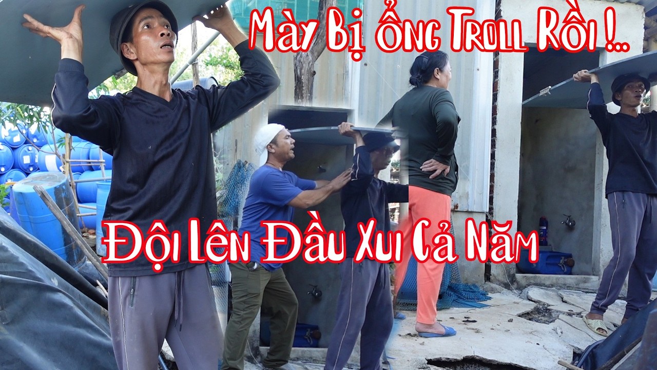 Đầu Năm Đầu Tháng 10 Râu Troll Cho Bà 8 Phong Đội Tolet Lên Đầu