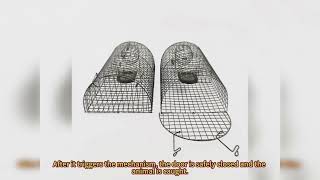 High Quality Metal Wire Mesh Mouse Trap Cage Rat Catcher Cage Sustainable Mouse Repeller Animal