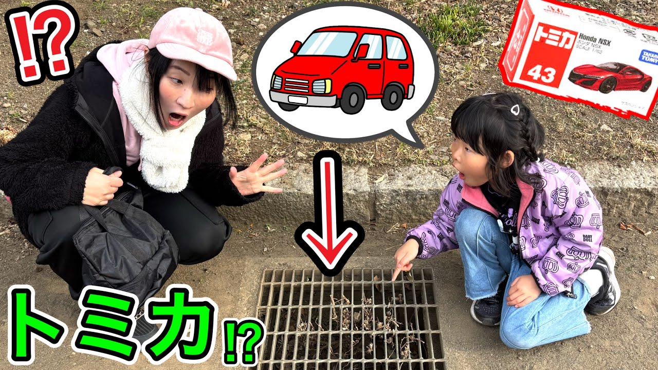 公園に車が落ちてる⁉️誰かが大切なトミカ落としたのかな⁉️取りたいけどとれないよ〜〜〜😭💦