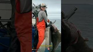 Woman And Big Fish L Wanita Si Pelaut