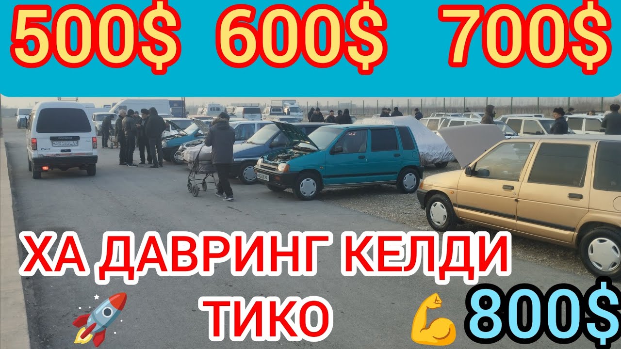 КУКОН БОЗОР ТИКОЛАР НАРХИ ТУШДИ ДАХШАТ 😭