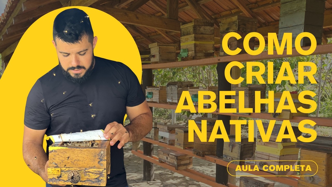 COMO CRIAR ABELHAS NATIVAS