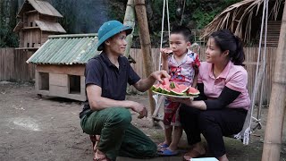 Harvesting Watermelon Fruit goes to the market sell - The boy's father came to help fix the dog cage