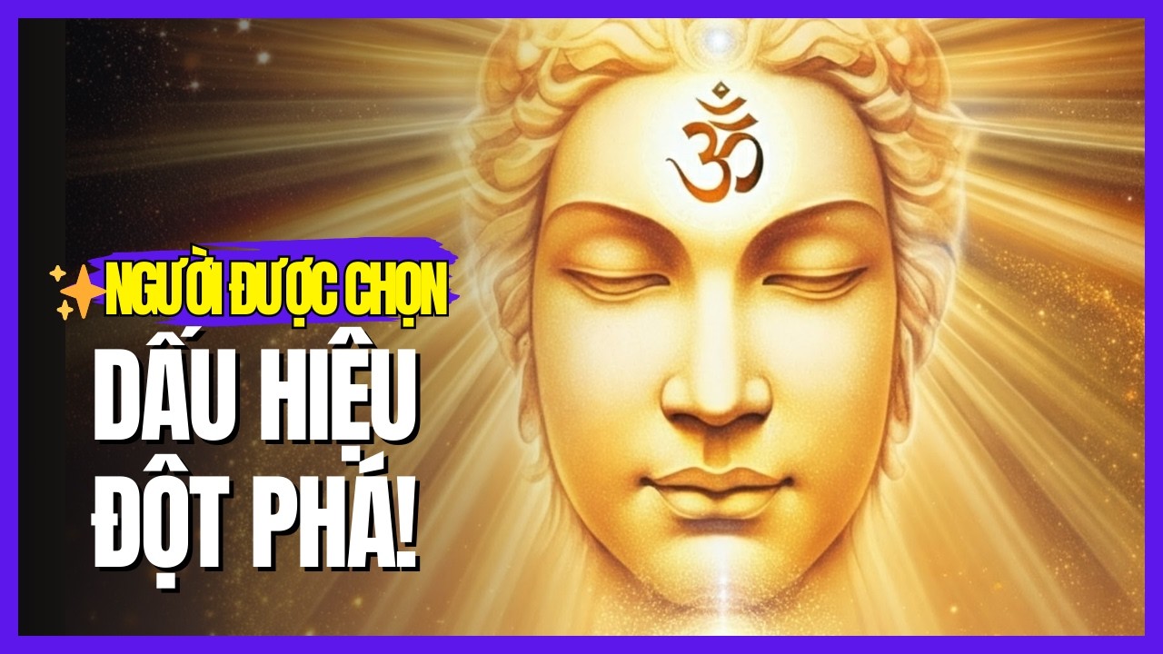 ✨Người Được Chọn✨: Dấu Hiệu CUỐI CÙNG Trước Khi Bước Đột Phá Lớn Nhất Xuất Hiện!
