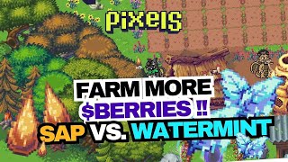 How to get more berry in Pixels - WATERMINT vs SAP