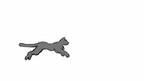 Cat Run Cycle (Test 1)