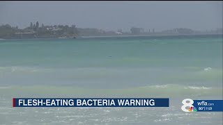 Rare, flesh-eating bacteria has killed 5 in Tampa Bay area since January