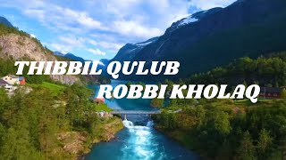 SHOLAWAT THIBBIL QULUB & ROBBI KHOLAQ || Lirik Arab dan Terjemah #sholawatthibbilqulub#habibsyech