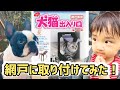 犬猫出入り口を網戸につけてみた！けど、、、