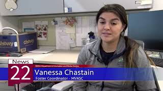 News22, Pet Fostering Opportunity in Las Cruces,VOSOT,April 09,2025/NMSU Journalism & Media Studies