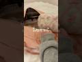 実家最高　#vlog #帰省