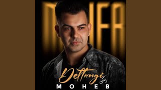 Deltangi - Moheb