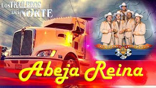 Abeja Reína - Los Traileros del Norte Letra 2020 🚒