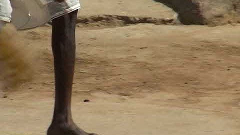 vlc record 2017 09 08 15h39m47s VTS 01 1 VOB