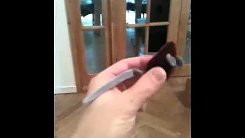 Video 172191: siberian cat playing fetch