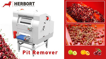 Pit Remover 27 (Plum,s Apricots, Cherries, ...) I Herbort