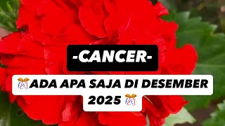 cancer Ada Apa Saja Di Desember 2025 prediksi tarotputrisolo capricornlifereading december