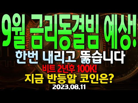   9월 금리동결 90 예상 상방빔 터진다 한번 내리고 돌파자리 비트코인 2년 후 100K도달 지금 반등할 알트코인은 베이직어텐션 알고랜드 도지코인 수이 주목