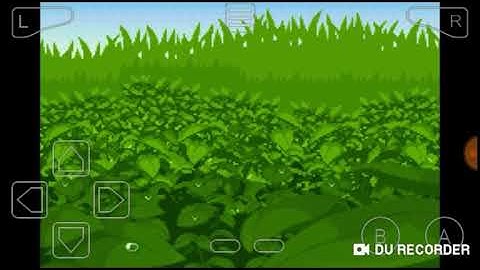 What happens when you leave town without a starter Pokemon in pokemon emerald