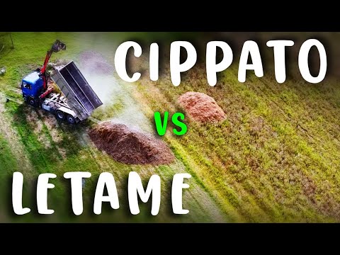 Video: Qual è il miglior letame per il giardinaggio?