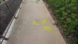 Tampines Park connector #TampinesPCN #TampinesParkConnector #TampinesLoyangParkConnector #Singapore