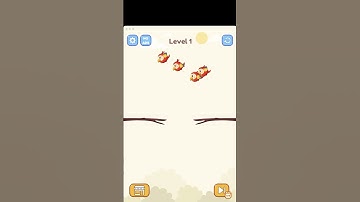 Bird Color Sort Level 1 🦚🦩🦜 ➖ Gameplay ➖ CaroGamesNL