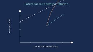 Facilitated Diffusion - Unlocking Cell Transport