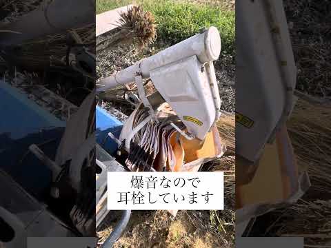 こはまファミリーの田舎暮らし — YouTube channel