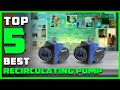 5 Best Recirculating Pumps in 2023 | Instant Hot Water Recirculating Pump [Review &amp; Buying Guide]