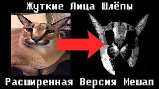 Жуткие Лица Шлёпы Расширеннная Версия + Мешап