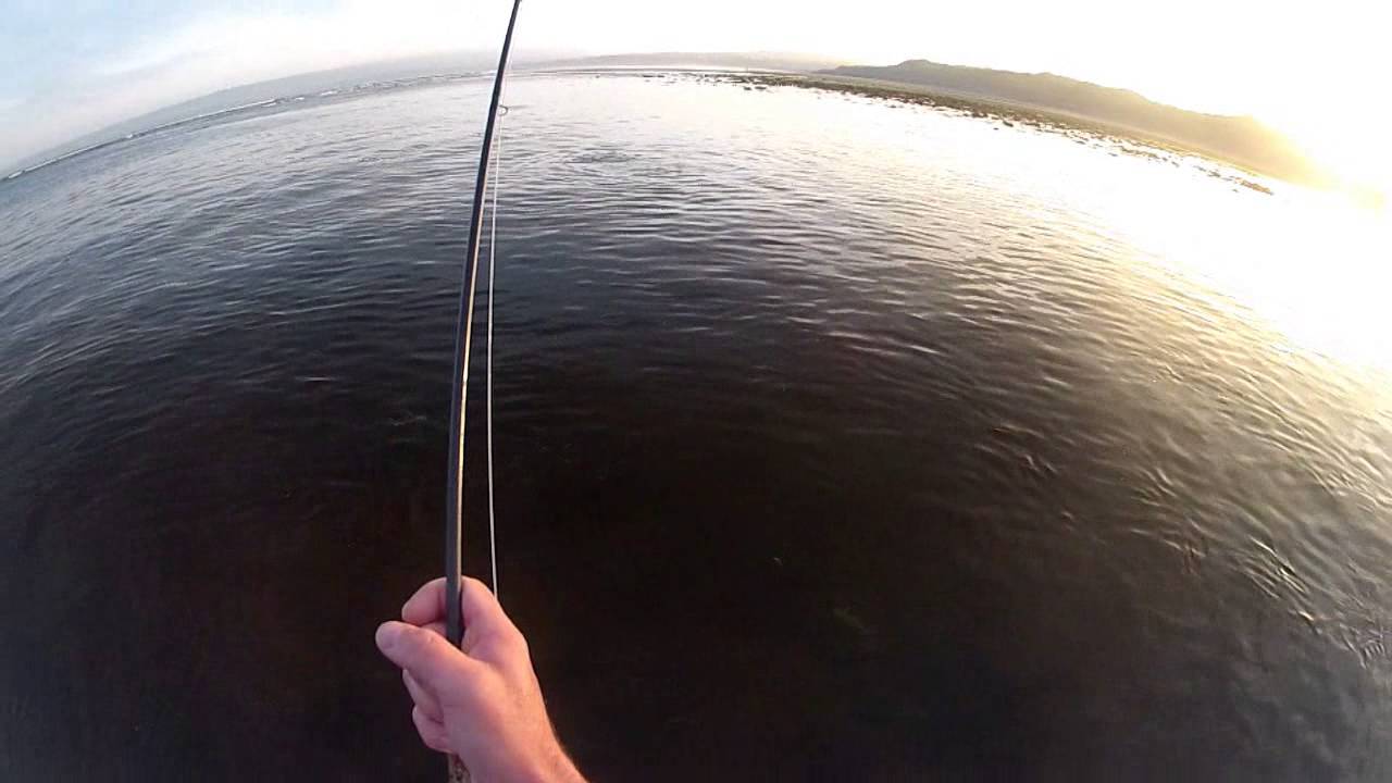 FLY FISHING FOR (SEA) BASS BY SIGHT IRELAND YouTube