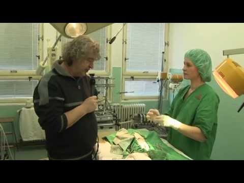 Video: Týždeň Veterinárnych Technikov Ocenení Veterinárni Technici Denný Veterinár