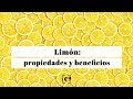 Limón: propiedades, beneficios y valor nutricional