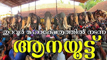 Thuravoor Mahakshethram Aanayuttu | തുറവൂർ മഹാക്ഷേത്രം ഉത്സവം ആനയൂട്ട്