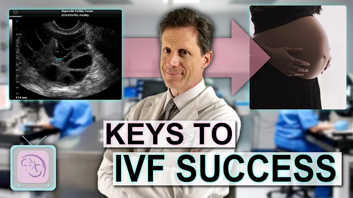 Infertility Treatment for Women - IVF with Dr. Ran...