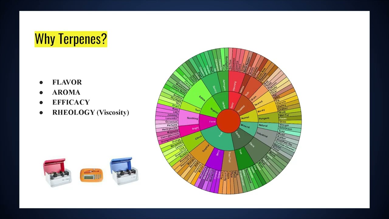 Talk Terpy to Me with Randy Reed of AVD