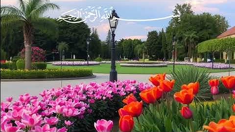 🌸 القارئ: شريف مصطفى 🌸🍂 من سورة هود