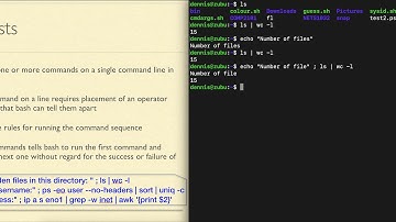 bash2.01 command lists with semicolon