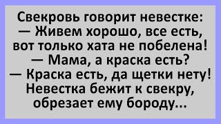 Свекровь говорит невестке... Сборник смешных анекдотов! Юмор!