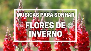 🎶 MÚSICAS PARA SONHAR #25 - 🌷 ❄️ FLORES DE INVERNO ❄️ 💐  🎶