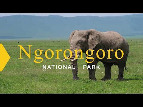 Video: Clouds Of Ngorongoro Crater, Tanzania [postkaart] - Matador Network