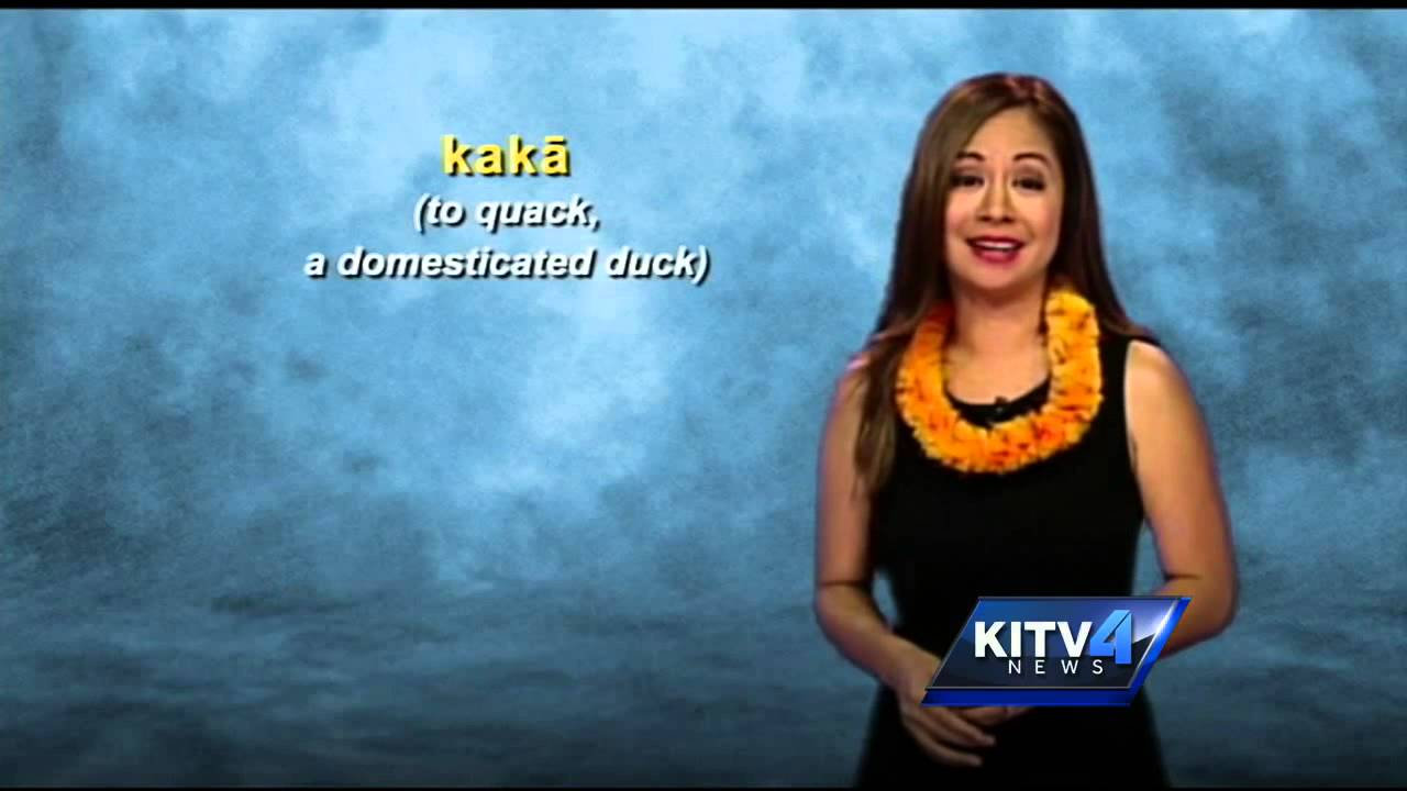 Hawaiian Word of the Day Kaka YouTube