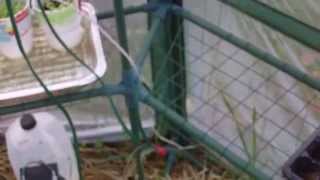 Greenhouse with Solar heating/cooling