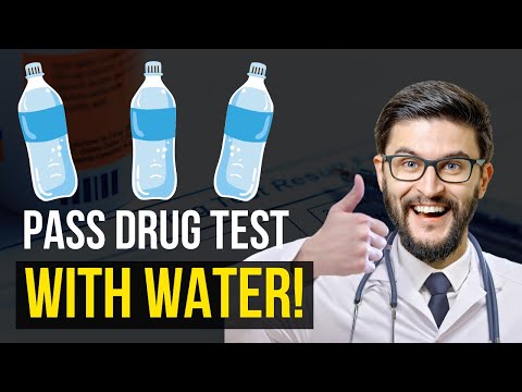 Video: 3 Mga Paraan upang Makakapasa sa isang Urine Drug Test