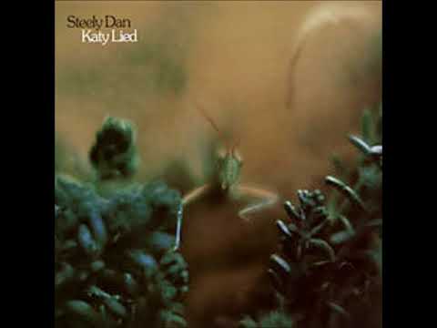 steely-dan-everyone's-gone-to-the-movies-with-lyrics-in-description