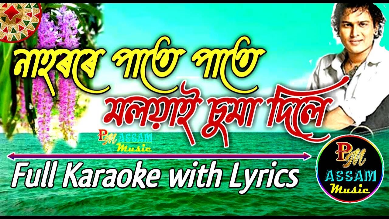 Nahorore Pate Pate Bihu Full Karaoke with Lyrics By Zubeen Garg  Bornali Kalita