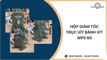 Hộp giảm tốc trục vít bánh vít WPS 60 - Hà Thanh Motor