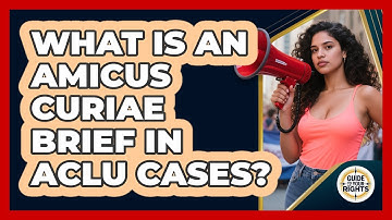 What Is An Amicus Curiae Brief In ACLU Cases? - Guide To Your Rights