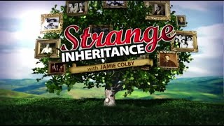 Strange Inheritance - Black Swamp Baseball Card Find