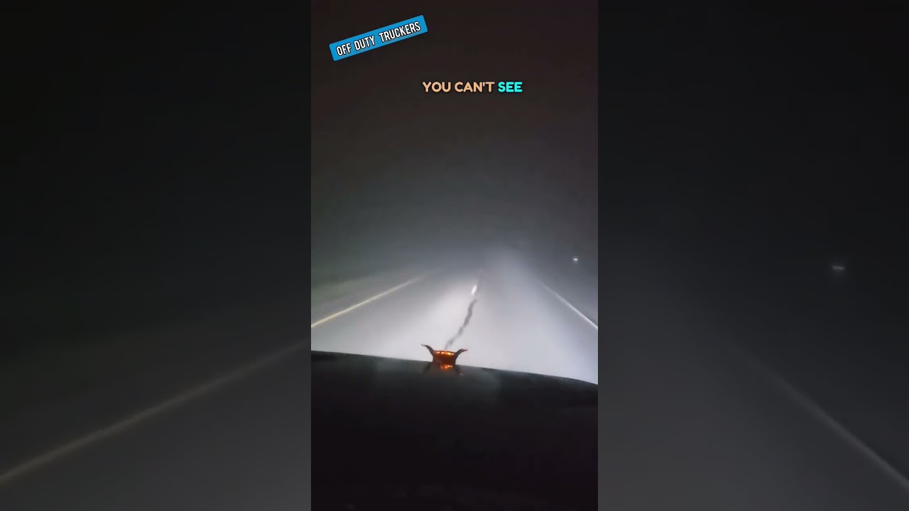 Driving in dense fog #truckdriver #drivingfails #trucking